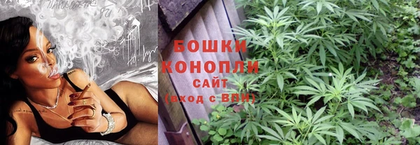 мдпв Нея