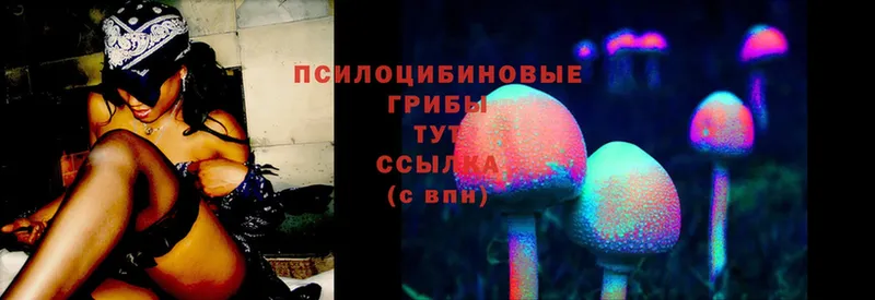 Псилоцибиновые грибы MAGIC MUSHROOMS  Вытегра 