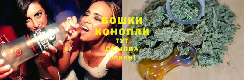 Бошки Шишки White Widow  Вытегра 